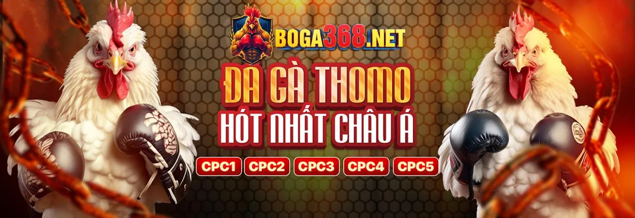 Hình ảnh chính của Blog Bubet Nhà Cái 2026