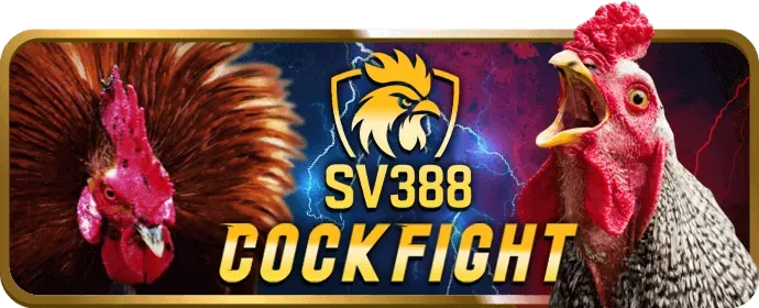 Chương trình VIP Bubet Nhà Cái